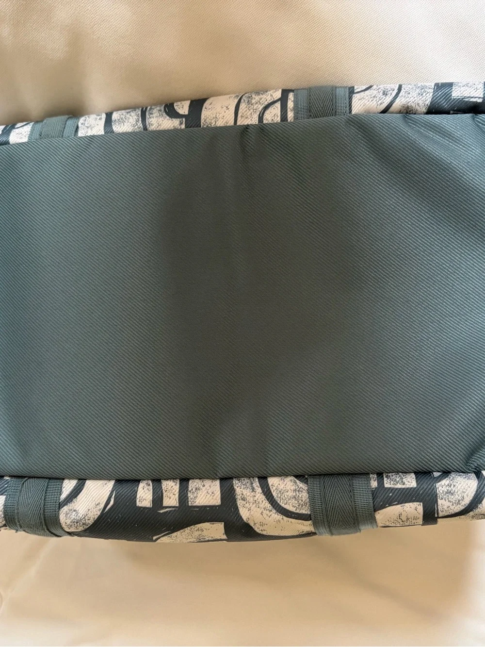 The North Face Teal and White Graphic Duffel Bag